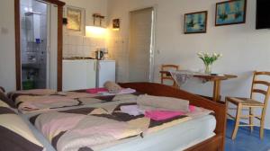 Studio Apartment in Biograd na Moru with Balcony, Air Conditioning, Wi-Fi, Dishwasher (4818-3)