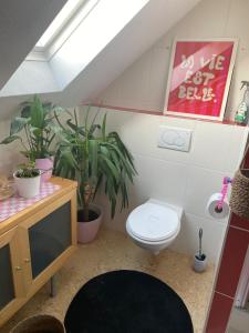 Ferienwohnung Sonnenschein