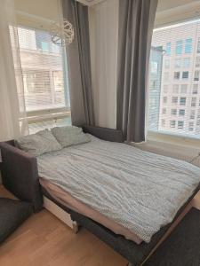 Härmälän Kotoisa - valoisa yksiö - free parking & wifi