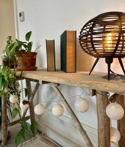 Appartements Nid douillet pour 2 au Puy : photos des chambres