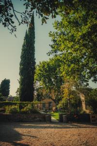 B&B / Chambres d'hotes Domaine Les Muriers : photos des chambres