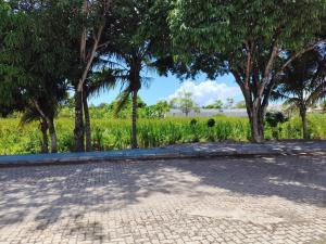 Recanto dos pássaros