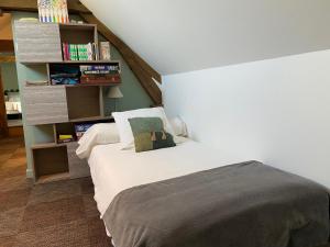 Maisons de vacances Gite de la maison de Triboulet- Amboise : photos des chambres