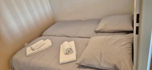 Appartements LE NID DU TEICH Duplex COSY ET CENTRAL A 5 MINUTES DE LA GARE : photos des chambres