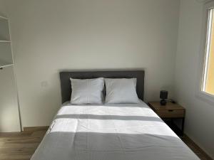 Maisons de vacances 10 min Romorantin, 3 ch, 2SDB : photos des chambres