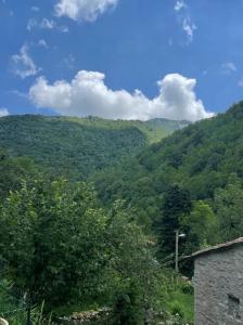 Appartement dans la nature