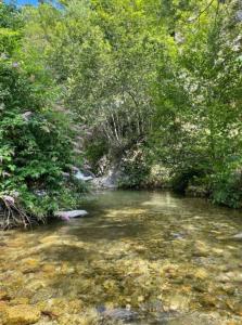 Appartement dans la nature