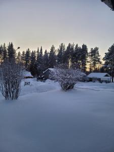 Villa Stone House Lappland