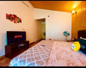 Viewtopia - best view of Doon Valley