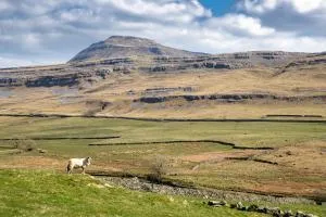 Falls Park - Ingleton