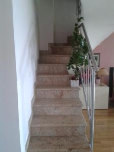 Apartman Sara s predivnim pogledom na more