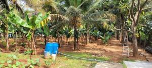 Vrishabhadri Farm House