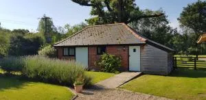 Acorns - 皮莱特福德