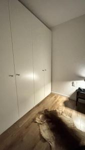 Ferienwohnung FeWo Hahnenklee Goslar Harz bis zu 6 Personen