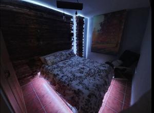 Paraíso Desconocido 2. El Bosque Encantado