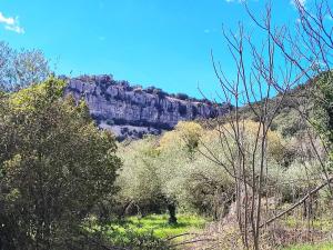 LA BERGERIE DE CORCONNE