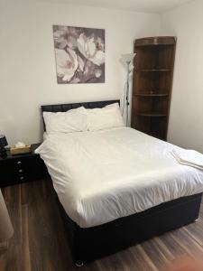 Lux 2 Bed apartment in Portman square