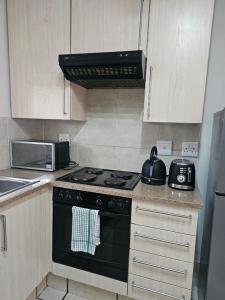 Cozy Apartment In Fourways