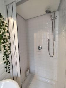 Colosseum Studio Flat blue