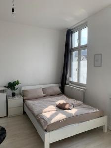 Leben im Dortmund hotspot