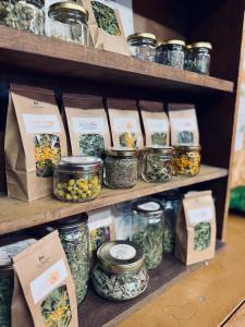 Appart'hotels Eco-Domaine La Fontaine - RESIDENCE-SPA - Plage de la Fontaine aux Bretons : photos des chambres