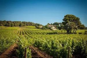 Appartements Studio moderne a Montagnac-Montpezat - 32 m² tranquille : photos des chambres