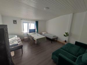 Big, Cozy and central apartment 24 h check in