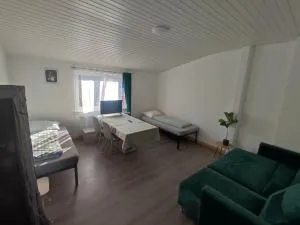 Workation Big, Cozy and central apartment 24 h check in - Biebrich