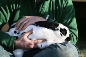 Eco-Domaine La Fontaine - RESIDENCE-SPA - 300 m Plage de la Fontaine aux Bretons