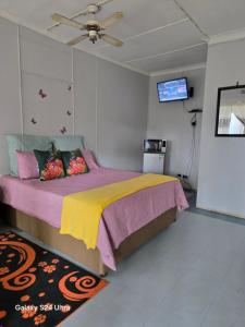 New Dreamland Guesthouse