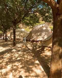 CENTRO DE OCIO ALÚA Bungalows Camping Rafting Benamejí