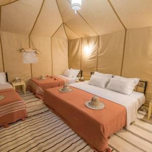 Merzouga Experience Camp