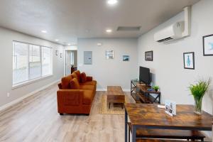 The Turtle Suite, Dolphin Suite, & Sea Horse Suite