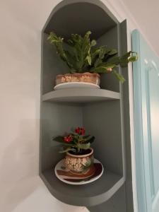 STEFANOS FAMILY APARTMENT