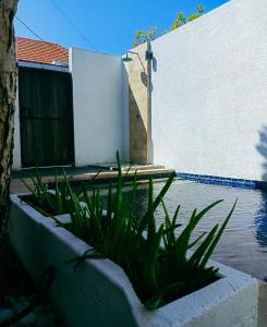 River House 2 Bedrooms Beach side Sanur