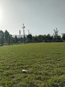 Redison Blu - Amingaon