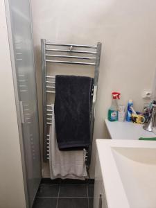 Maisons d'hotes Ina-Olivia F5 a Massy : Appartement