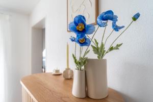 Helles Rooftop Serviced Apartment an der Schweizer Grenze