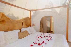 Green Land Bubble Glamping