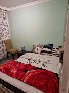 Maisons d'hotes Ina-Olivia F5 a Massy : photos des chambres