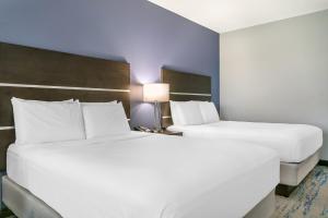 Comfort Inn & Suites Adrian