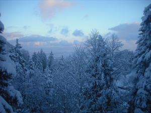 Chalets Chalet Monts Jura : photos des chambres