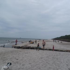 Siedlisko Wiejskie