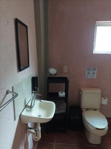 Casa Dos Antonios en Zona Viva de Puerto Vallarta