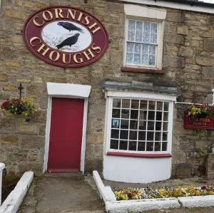 cornish Choughs Inn - برتريث
