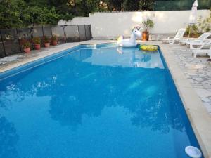 Villa with large spacious apartment, Privatized with big garden and swimming pool