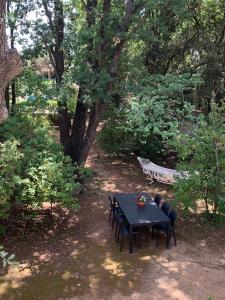 Villa with large spacious apartment, Privatized with big garden and swimming pool