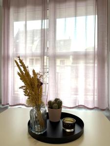 Appartements Studio lumineux dans ancien Cronenbourg : photos des chambres