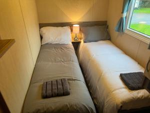 Starlight Stays Horizon Exclusive