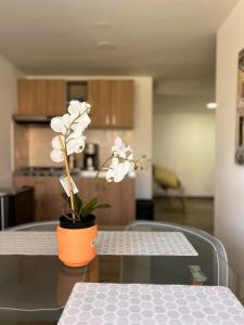 Bright 2BR in Parque de la 93